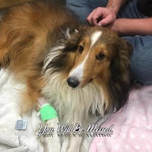 Meet your Posher, Cayla